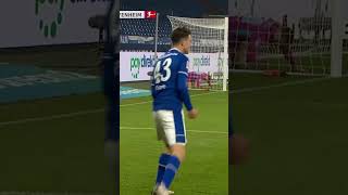 Matthew Hoppe Zerstört Hoffenheim