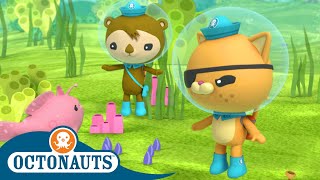 Octonauts  The Artificial Reef | Cartoons for Kids | Underwater Sea Education