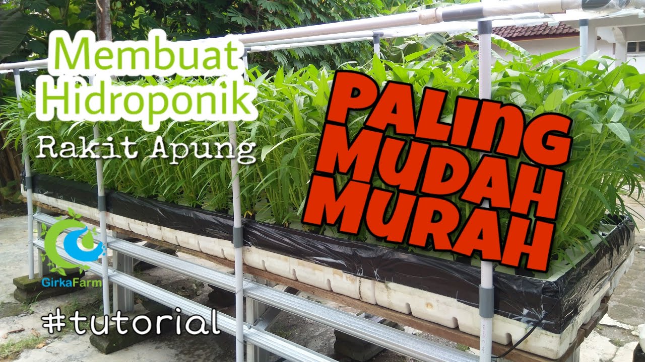 Cara membuat RAKIT APUNG HIDROPONIK sederhana sterofoam bekas - Pemula