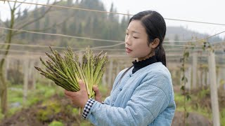 破土而出的芦笋，经过简单的烹饪，端上餐桌的时候感觉很幸福｜How to cook several Chinese dishes with asparagus, simply ｜野小妹wild girl