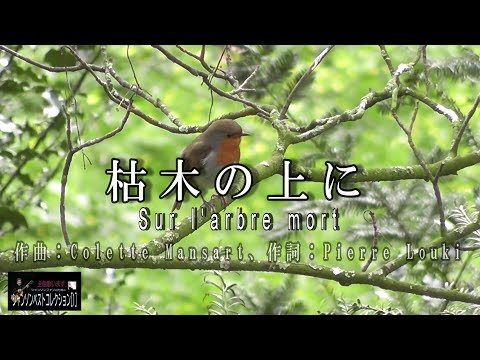 No.62 枯木の上に（歌詞入り）Sur l'arbre mort【名曲シャンソンのご紹介　歌：E．ハリマ　ピアノ伴奏：中村力（ピアノカラオケ）】