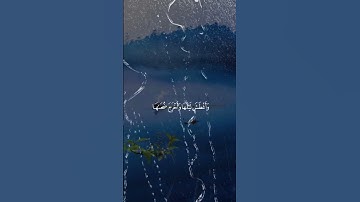 تلاوة خاشعة إستمع لعلها تشفع لك جمعة مباركة🌹💗