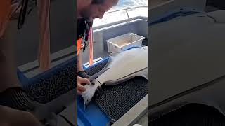 fish processing skills 🐟 | fast and efficient preparation process