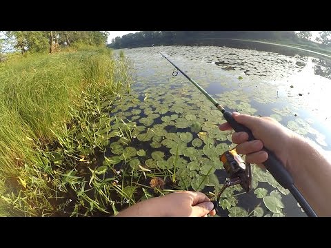 видео ловля щуки на микро реках видео ловля щуки на микро реках