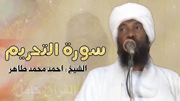 سورة التحريم : الشيخ أحمد محمد طاهر 1446 - 1447 ( كامله ) ..
