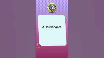 Riddle to Test Your Brainpower!  #riddleswithanswers  #logicalreasoning #brainteasers #riddles