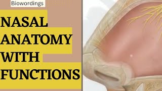 Human Nose structure and function || Human nose inside || Nose anatomy by biowordings