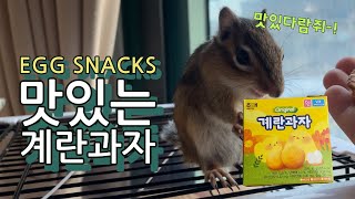 I ate egg cookies with cute chipmunk Louie.