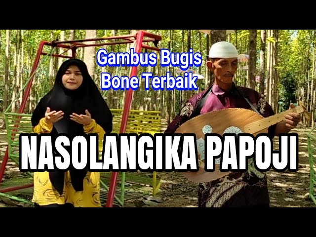 GAMBUS BUGIS BONE TERBAIK (NASOLANGIKA PAPOJI) class=