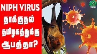 தமிழகத்தை தாக்க தயாராகும் Nipah Virus பயத்தில் பொதுமக்கள்