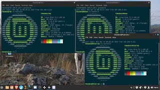 Using SSH to update Multiple Remote PC's over the LAN in LInux Mint