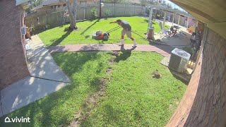 Famous Lawnmower Runs Over Lighter and Catches Fire || ViralHog Wealth