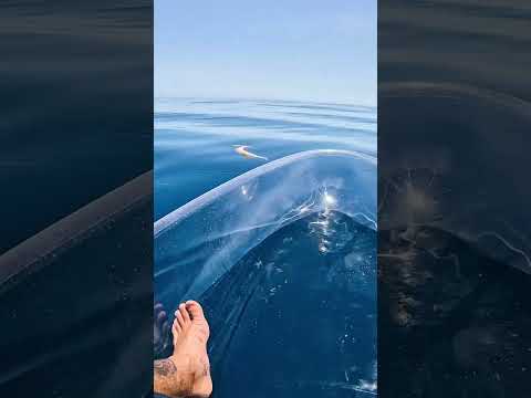 Transparent Kayak Hits Different In Deep Water..