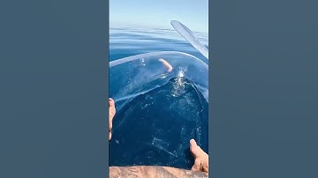 Thumbnail of Transparent Kayak Hits Different In Deep Water..