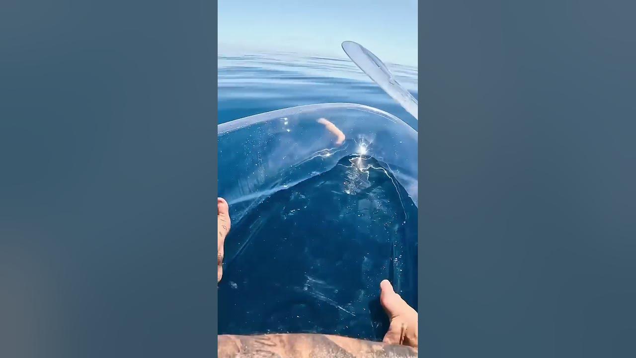 Transparent Kayak Hits Different In Deep Water.. Transparent Kayak Hits Different In Deep Water..