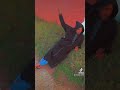 لعروبية كي كنتي     
