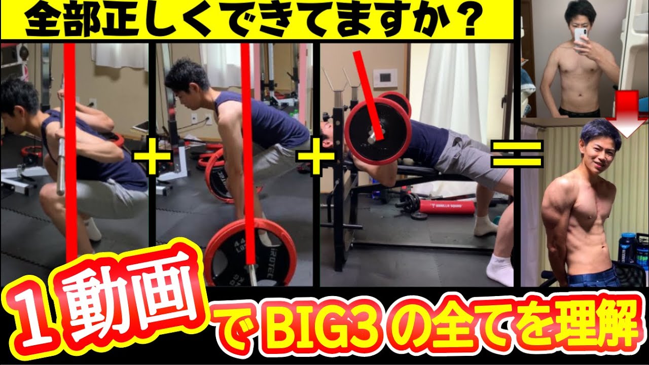 サンドバッグ　ワークアウト　トレーニング スクワット、ベンチ、デッドリフト 筋トレ】たった1動画で全てが分かるBIG3の教科書【ベンチプレス