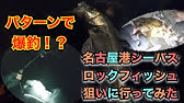 天白川 魚釣りポイント 302号線付近 名古屋市魚釣りポイント 小魚 ブラックバス釣り Youtube 天白川 魚釣りポイント 302号線付近 名古屋市魚釣りポイント 小魚 ブラックバス釣り Youtube