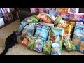 How To Feed 100+ Feral Cats