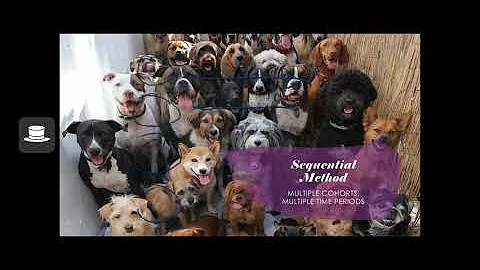 PSY 203 - Chapter 11 (Single Case, Developmental, and Quasi-Experimental Designs)