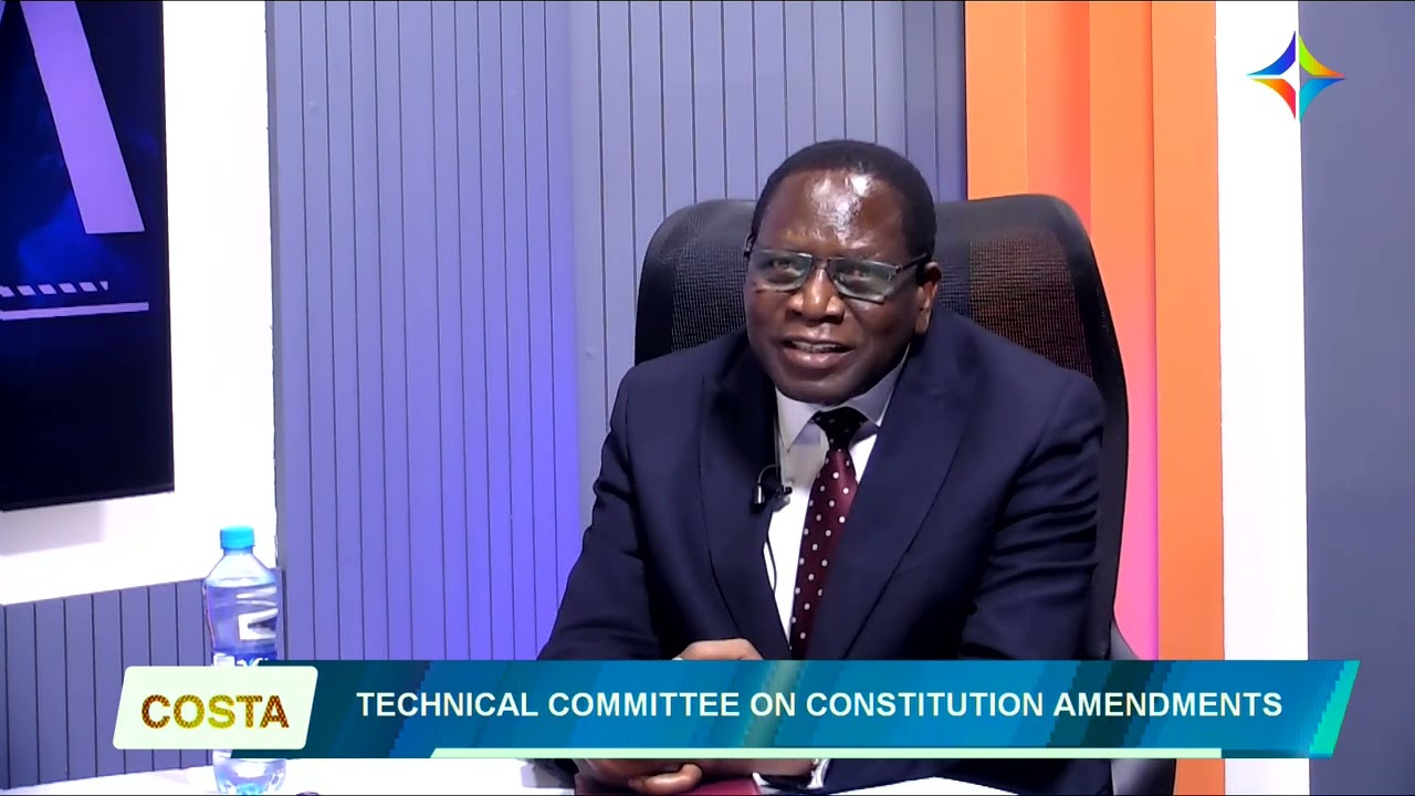 COSTA - TECHNICAL COMMITTEE ON CONSTITUTION AMENDMENTS.