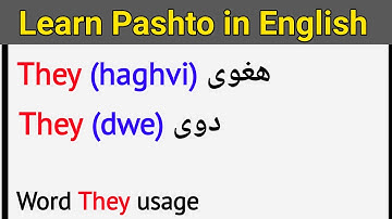Word (They) usage English to Pashto | learn Pashto in English | English to Pashto learning
