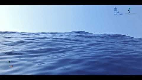 Ocean waves - ParaView Physically Based Rendering