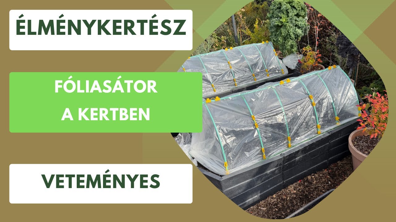 Így lesz friss zöldséged jövőre kora tavasszal!🥬