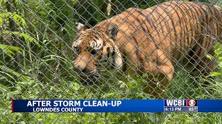Cedar Hill Animal Sanctuary cleans up damage after severe weather