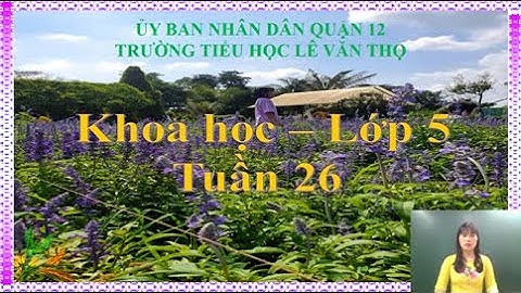 Trường Tiểu học Lê Văn Thọ - Khoa học Lớp 5 - Tuần 26 - Cô Nguyễn Thị Hồng