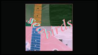 Pizzagirl - Seabirds chords