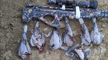 Your Queries:-p15 hunting