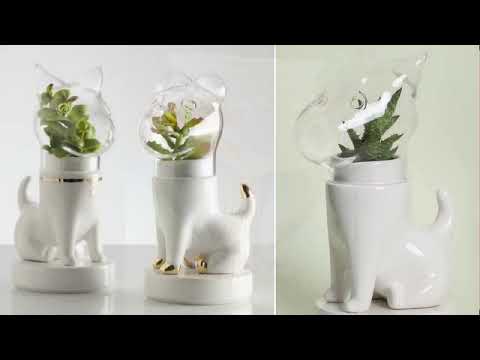 Video: Ontwerpwenke: ongewone vase in die binneruim