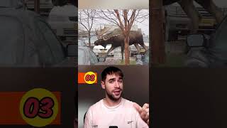 Things That Are Way Bigger Than You Thought