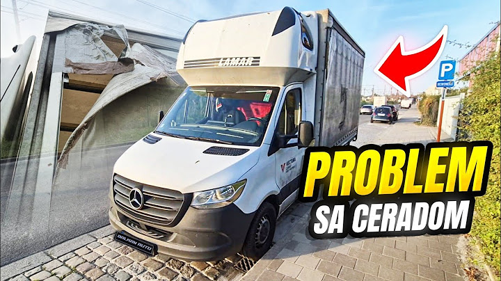 POCIJEPAO SAM CERADU NA SPRINTERU ! Radni dan vozača u EU