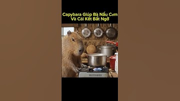 Capybara Giúp Bà Nấu Cơm