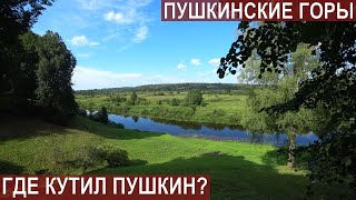 видео: ПУШКИНСКИЕ ГОРЫ- ЧАСТЬ2/БАНЯ С КОМАРАМИ ДЛЯ ПУШКИНА картинка: ПУШКИНСКИЕ ГОРЫ- ЧАСТЬ2/БАНЯ С КОМАРАМИ ДЛЯ ПУШКИНА