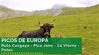 🌄⛰️🌲 PICOS DE EUROPA - Ruta Cosgaya - Pico Jano - La Viorna - Potes