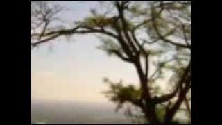 Karimizhi Kuruviye - Malayalam Song in Flute