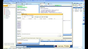 Soapware Meaningful Use - Maintain Problem List