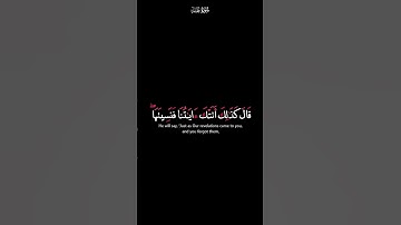 ومن اعرض عن ذكري فان له معيشة ضنكا | كرومات شاشة سوداء القران الكريم | القارئ احمد السعيد مندور