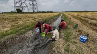 Download Lagu Đào hang bắt Chuột trên đồng khô / Săn bắt một ngày trên đồng  MP3