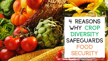 4 Reasons Why CROP DIVERSITY Safeguards Food Security