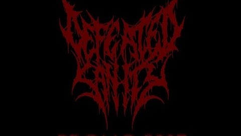 Defeated Sanity - Promo 2007 (FULL ALBUM)