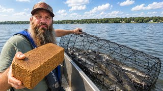 How To Bait Catfish Nets In A Louisiana Lake | Fishing Family Fun (Catch Clean Cook)