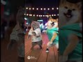 Brazilian carnival #funny #cat #dog #sora