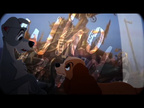 Who needs true love⎡Tramp x Buster⎤