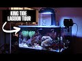King Tide Lagoon Update Tour