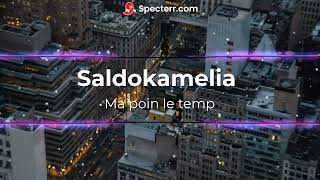 Saldokamelia - Ma poin le temp (clip officiel)