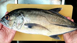 Bigeye trevally aged 5-day sashimi | Why aged, fresh fish bad? 